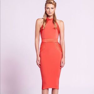 Zhivago Algeny Dress in Coral, US Size 4/S, NWOT